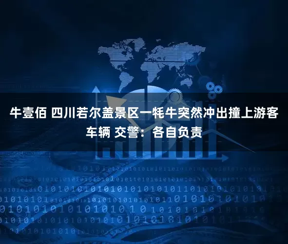 牛壹佰 四川若尔盖景区一牦牛突然冲出撞上游客车辆 交警：各自负责