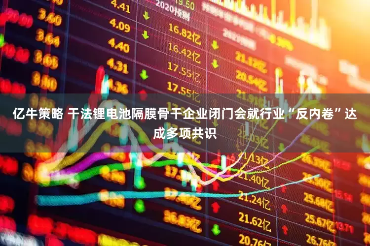 亿牛策略 干法锂电池隔膜骨干企业闭门会就行业“反内卷”达成多项共识