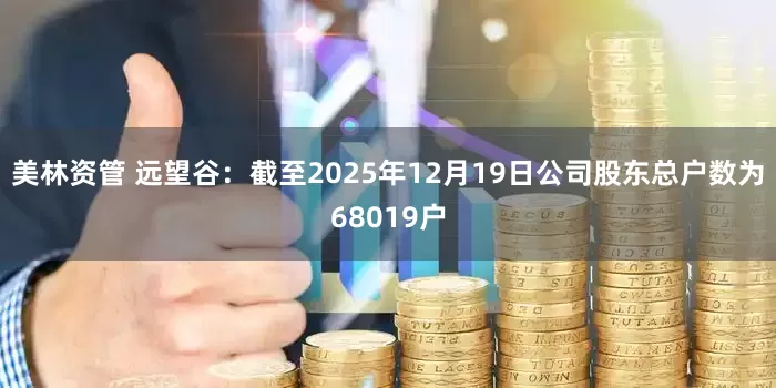 美林资管 远望谷：截至2025年12月19日公司股东总户数为68019户