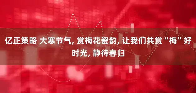 亿正策略 大寒节气, 赏梅花瓷韵, 让我们共赏“梅”好时光, 静待春归